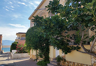 Apartmani  KUZMIĆ VANJA