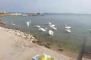 Hrvatska, Košljun, New Kosljun Apartment short walk to Beach