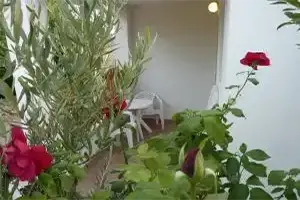 Hrvatska, NIN, Apartmani Emily